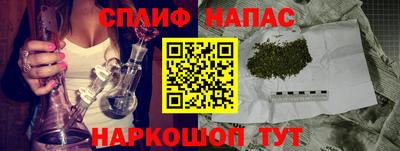 стафф Кандалакша