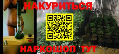 стафф Кандалакша