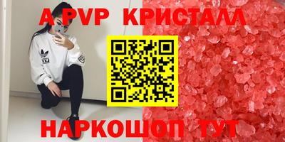 стафф Кандалакша