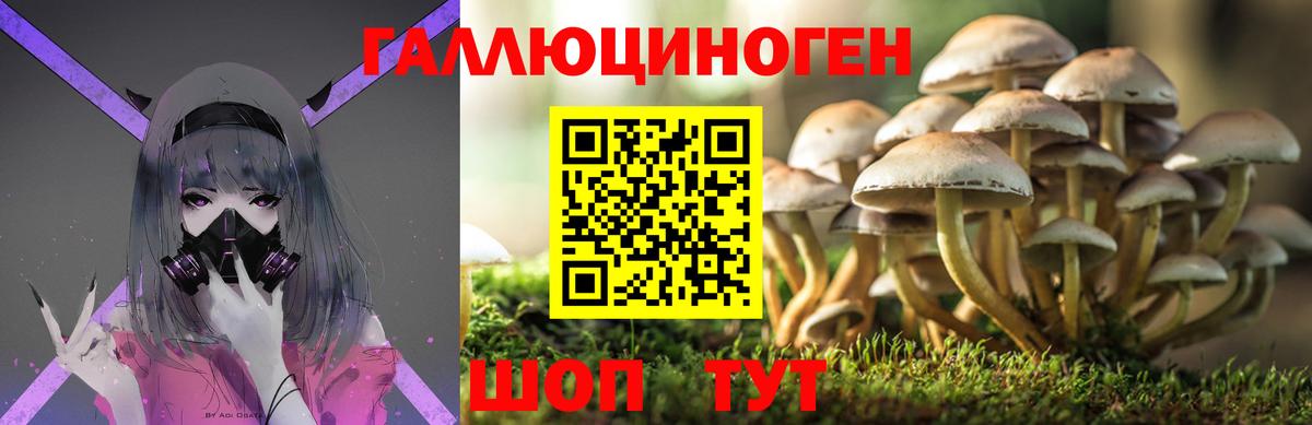 Галлюциногенные грибы Magic Shrooms  Вход с VPN  Псилоцибиновые грибы Cubensis  Лесной 